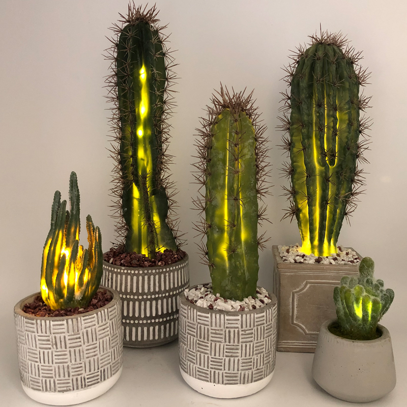 Cactus artificiale del LED nella decorazione succulente del vaso di vetro decorativo