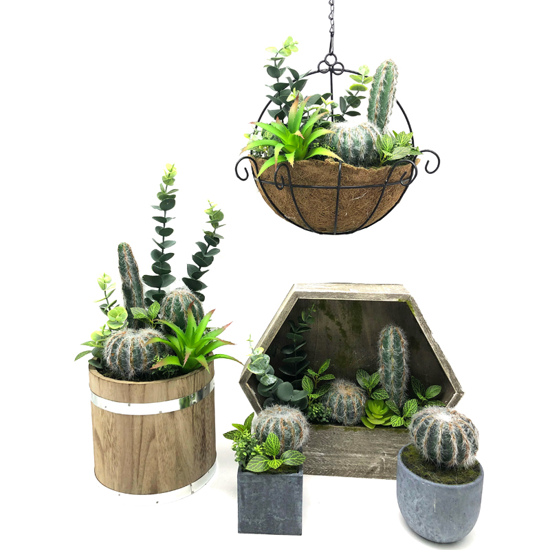Piante succulente artificiali moderne con vaso decorativo da tavolo