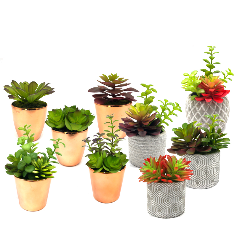 Mini piante succulente artificiali con decorazioni decorative da tavolo