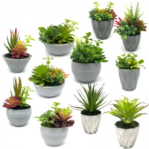Mini piante succulente artificiali con decorazioni decorative da tavolo