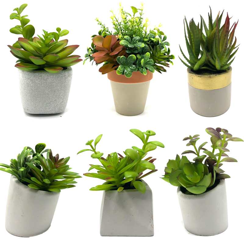 Mini piante succulente artificiali con decorazioni decorative da tavolo