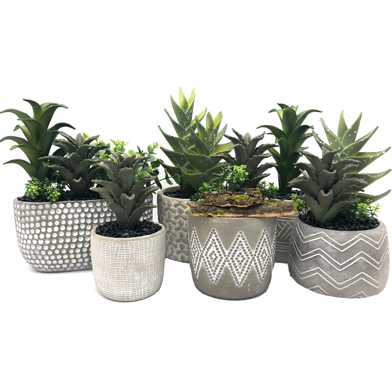 Decorazioni per la casa giardino artificiale ufficio tropicale succulente artificiale aloe vera