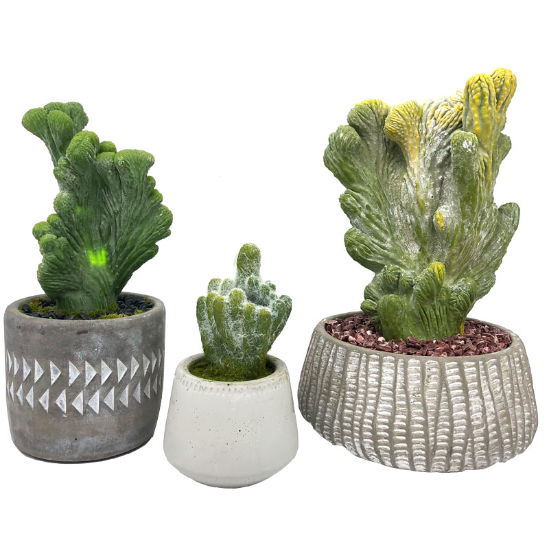 Casa o ufficio artificiale moderna del cactus nella decorazione succulente del vaso decorativo
