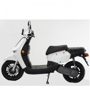 Scooter elettrico, bicicletta elettrica, E-Scooter