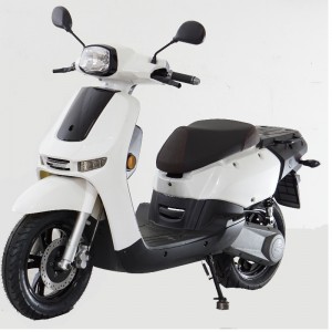 Scooter elettrico, bicicletta elettrica, E-Scooter