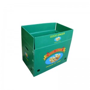 Scatola di zenzero
