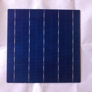 Cella policristallina