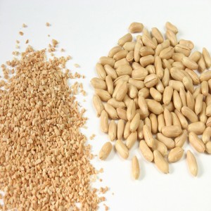 Chopper di arachidi / Chopper secco d'arachidi