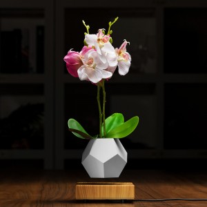 fioriere galleggianti a levitazione magnetica per vasi bonsai PA-0708