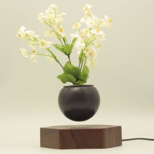 fioriera in legno levitante galleggiante bonsai vaso in vaso PA-0720