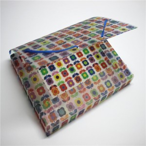 Cartella PP in plastica con elastico