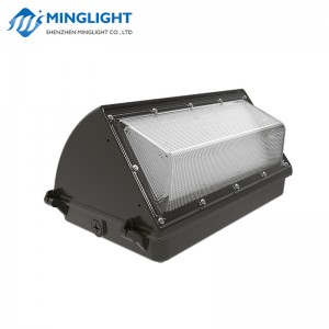 Lampada da parete a LED Light WPB2 80W