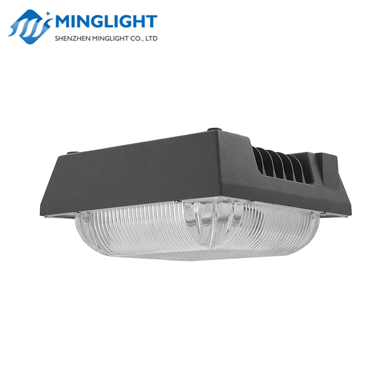 LED Canopy Light CNPA 50W