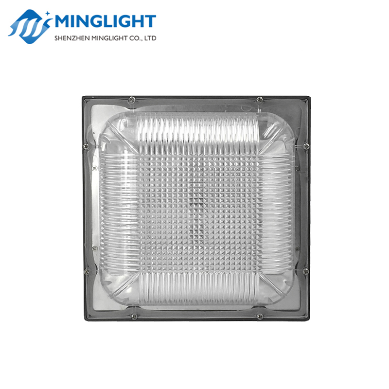 LED Canopy Light CNPA 100W