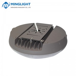 LED Canopy Light CNPB 100W