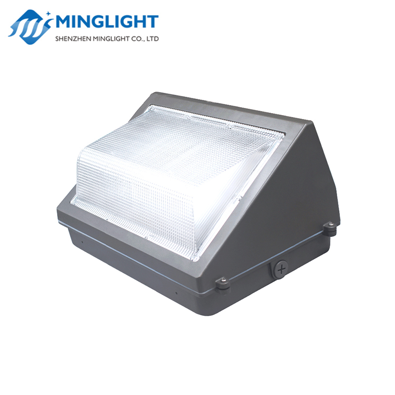 LED Wall Pack Light WPB 100W