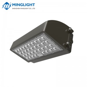 Lampada da parete LED Light WPC2 60W