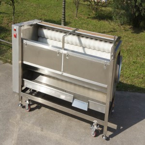 Nuovo tipo QX-818 Fruit Cleaner / Fruit Peeling Machine / Fruit Brush Peeling Machine