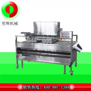 Detergente per frutta / Detergente per frutta / Detergente per spazzole per frutta (pulizia profonda) QM-2