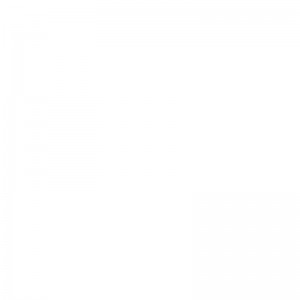 TXC3150 Punto di chiamata manuale convenzionale