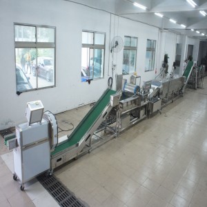 Grandi porri che uccidono la linea di produzione