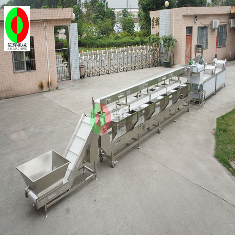 Linea di produzione multi-funzione lavatrice / lavatrice vegetale / tre strati di selezione pulito linea di produzione di verdure