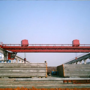 Gru a ponte doppio con doppio carrello