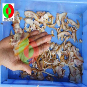 Affettatrice automatica per carne / affettatrice multifunzione / affettatrice per carne da tavolo di dimensioni medie QH-500