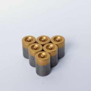 Il dispositivo di fissaggio muore