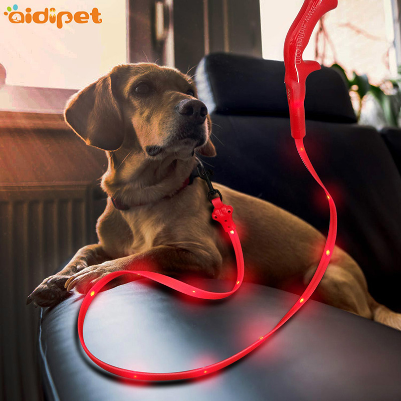 Prodotti di vendita caldi sicurezza in pelle catarifrangente Collare per cani con collare d'addestramento