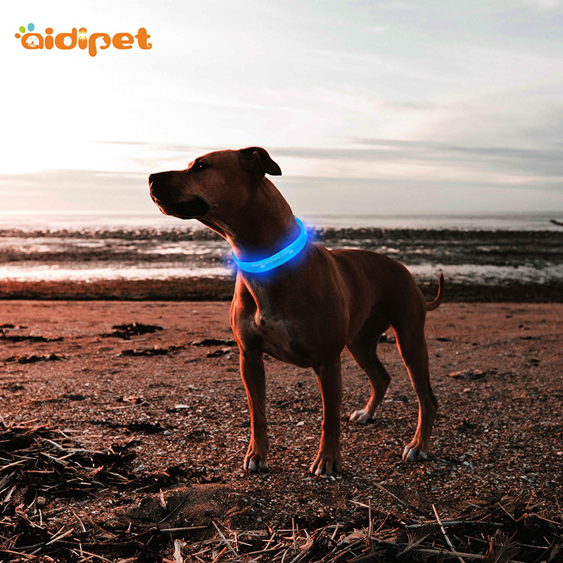 Collare di ricarica USB impermeabile con collare per cani in silicone