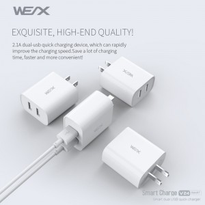 WEX - V24 caricabatterie da viaggio dual usb, caricatore da muro, alimentatore