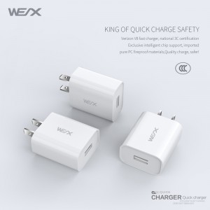 WEX -V8 singolo caricatore a parete a porta (65292; caricabatterie usb