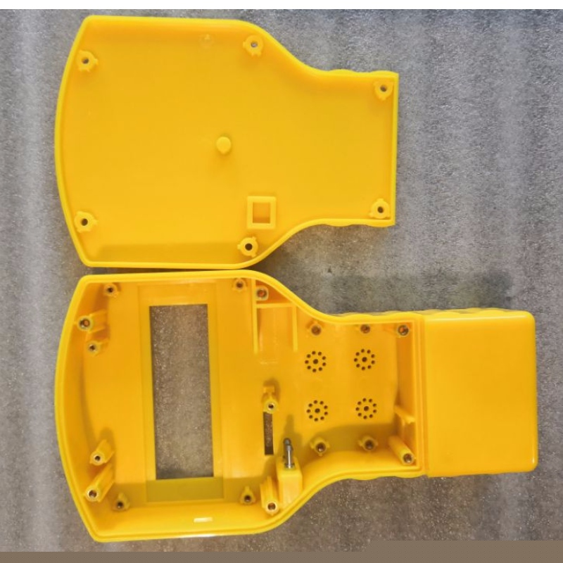 custodia in plastica