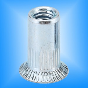 Corpo zigrinato a testa svasata