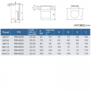 L'elevatore riduce i dadi del ribattino della testa