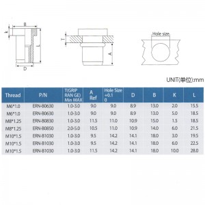 Noci di Elevatore Flat Head Rivit