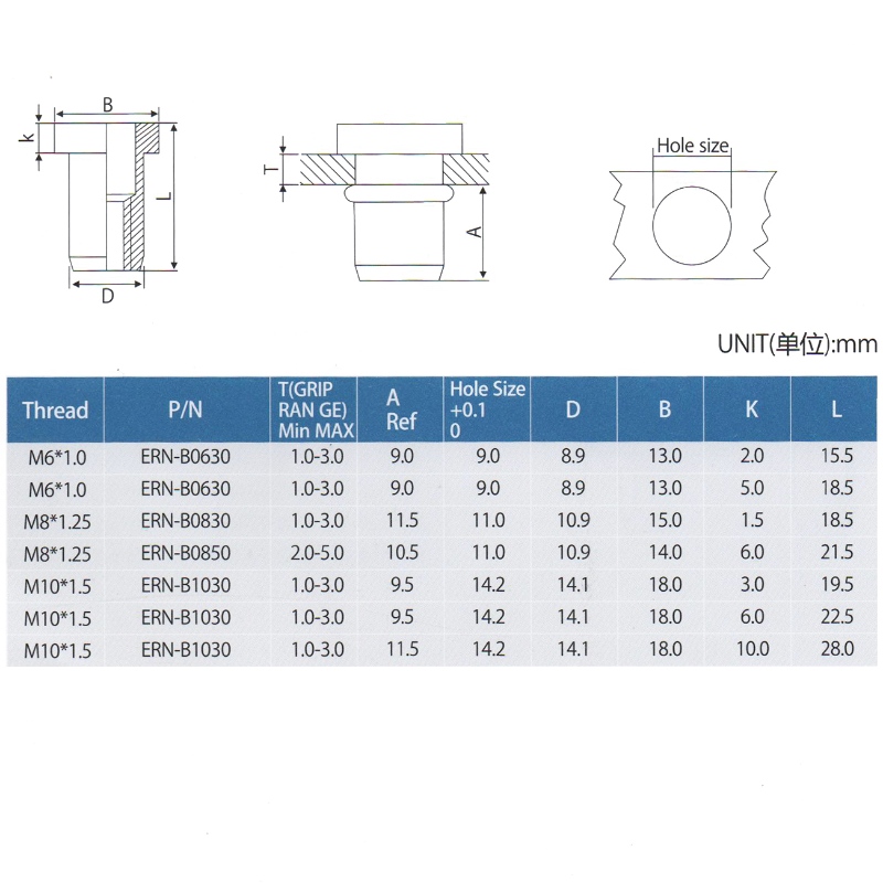 Noci di Elevatore Flat Head Rivit