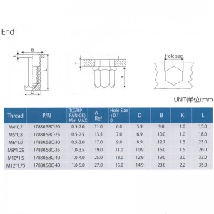 Testa piatta esagonale corpo chiuso fine