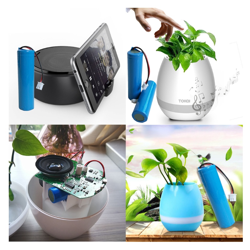 Conoscenza della tensione della batteria al litio