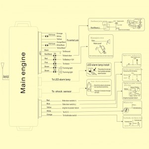 sicurezza universale a senso unico per auto