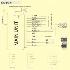 sblocco a chiave unidirezionale del bagagliaio della serratura della porta centrale dell'automobile remota universale