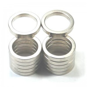 Personalizza il magnete ad anello monopolare.