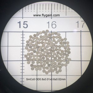 2019 Magnete ad anello SmCo Micro Precision Micro del produttore cinese