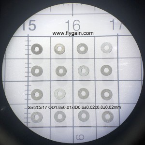 2019 Magnete ad anello SmCo Micro Precision Micro del produttore cinese