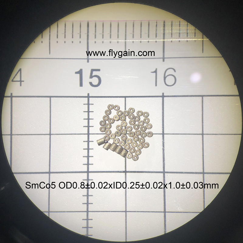 Micro magnete di precisione super piccolo del produttore Smco