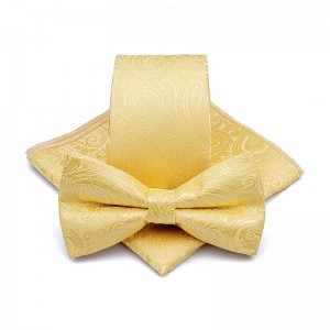 100%Microfibra Tessuto Necktie