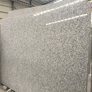 Lastre di granito G439 bianco Delta