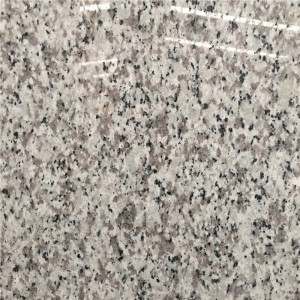 Lastre di granito G439 bianco Delta