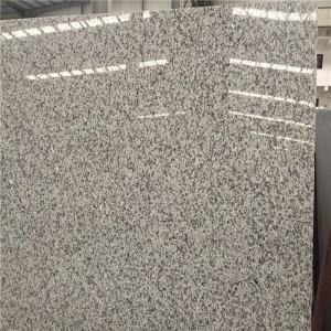 Lastre di granito G439 bianco Delta